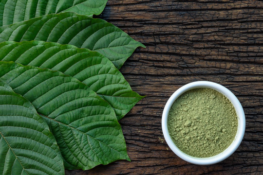 Kratom and Fitness: Could It Improve Your Workout?