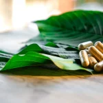 Comparing Kratom vs. CBD: Which is Right for You?