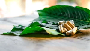 Comparing Kratom vs. CBD: Which is Right for You?